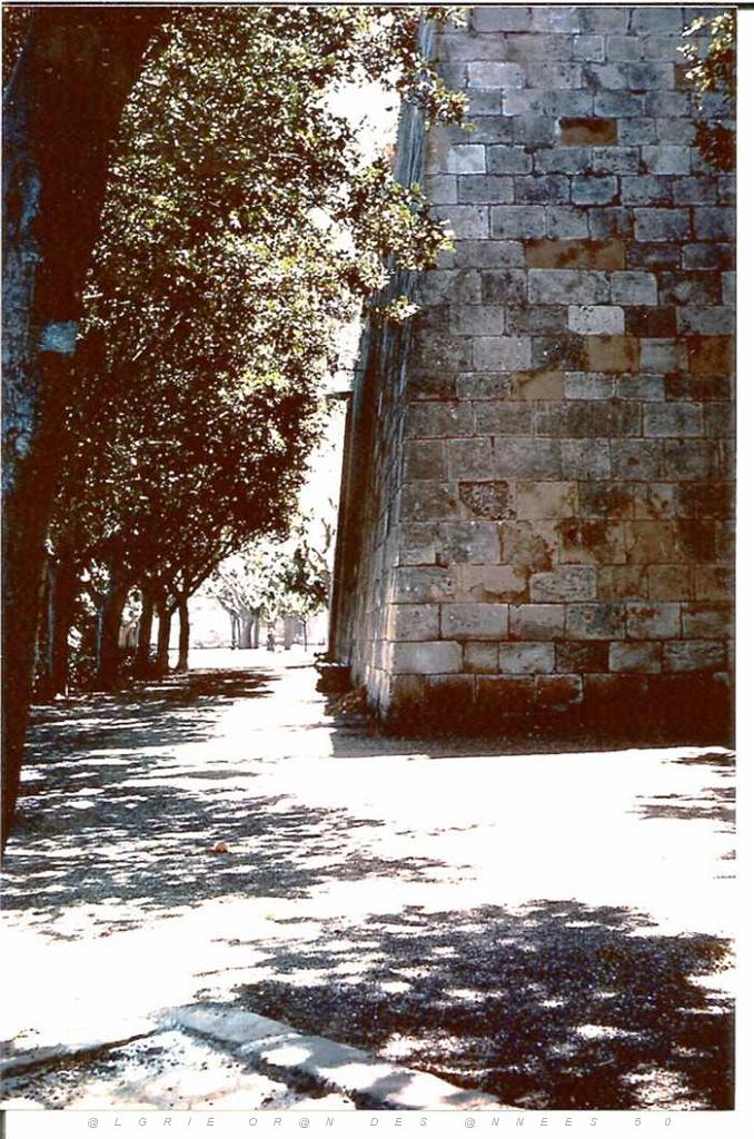ORAN PROMENADE DE LETANG 1978.JPG